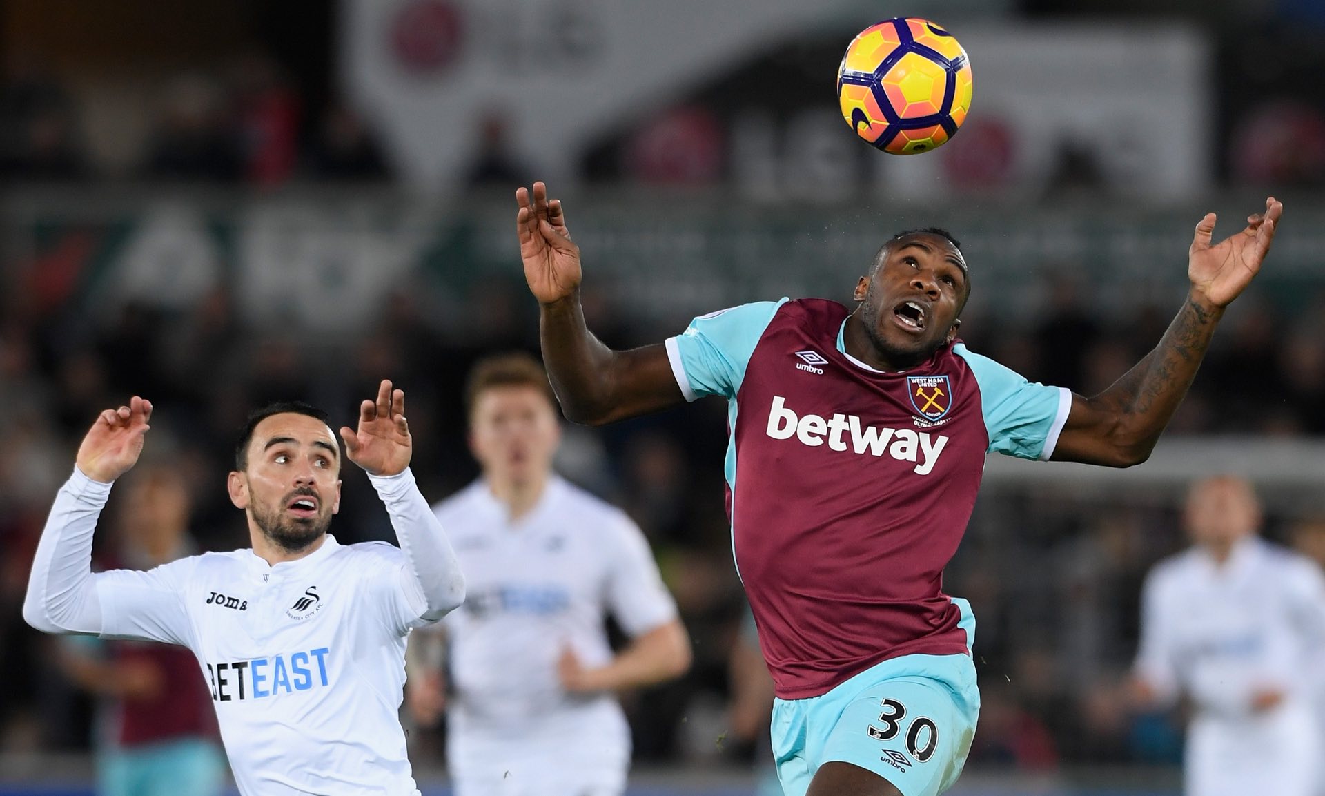 不仅展现了 不仅展现了